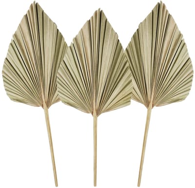 Dailygoods - Gedroogde palmbladeren - Natuurlijke palmwaaier - Decoratie voor bruiloften en feesten - Natuurlijk - DIY boeket - Geschikt voor woondeco...