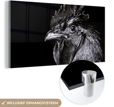 MuchoWow® Glasschilderij 40x20 cm - Schilderij acrylglas - Haan - Vogel - Zwart - Wit - Foto op glas - Schilderijen