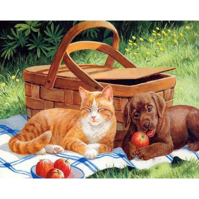 5D DIY Diamond Painting Cross Stitch Kitten en puppy volledige ronde boor diamantborduurwerk 20X30CM black