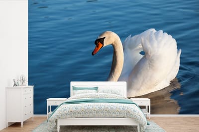 Behang - Fotobehang Zwaan - Water - Vogel - Wit - Breedte 450 cm x hoogte 300 cm