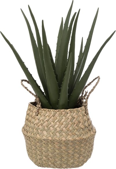 Kunstplant ALOË in mand, 37 cm