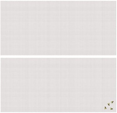 Vliegen/insecten opzet raam hor - 2x - wit - 2,2 x 0,75 m - hordoeken - insecten werend
