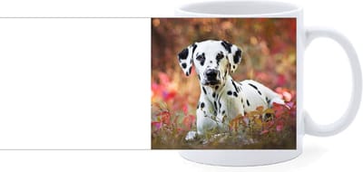 Beker - Dalmatier Liggend