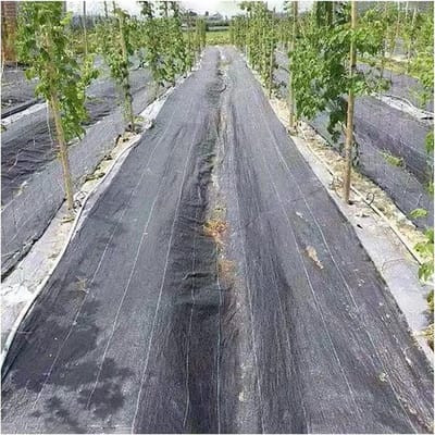 Wering Bodemfolie - Onkruiddoek Tuin - Tuin Onderhoud - Ademend Weefsel - 0.6x10m - Zwart