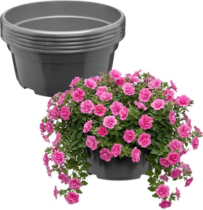 Garronda Set van 5 ronde kunststof plantenbakken met drainage (Anthraciet, Ø25 x 11,5 cm – 4,7 L) GD-KW-B-Anthracite