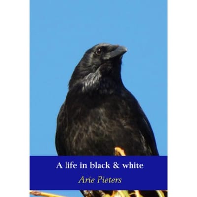 A Life In Black & White - Arie Pieters
