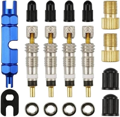 Compleet 18-delig Ventielkern Set voor Fietsen, Inclusief Ventieladapters en Ventielgereedschap voor Fiets en Mountainbike Gebruik