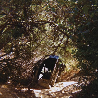 Possession - Ty Segall