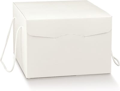 Geschenkdoos karton met koord WIT, 35,5x29x19,5cm (30 stuks)