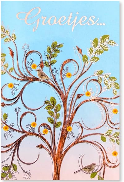 Groetjes... Wenskaart - Vriendschap / Zomaar Kaartje - 12 x 17 cm - gevouwen kaart Inclusief envelop