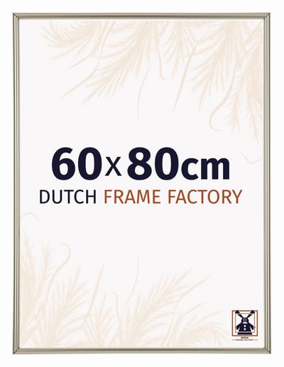 Fotolijst 60x80 cm - Kunststof - Champagne - Angers