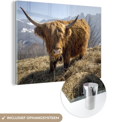 MuchoWow® Glasschilderij 160x120 cm - Schilderij acrylglas - Schotse Hooglander - Berg - Sneeuw - Foto op glas - Schilderijen