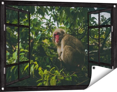 Gards Tuinposter Doorkijk Aap in de Boom tussen de Bladeren - 90x60 cm - Tuindoek - Tuindecoratie - Wanddecoratie buiten - Tuinschilderij