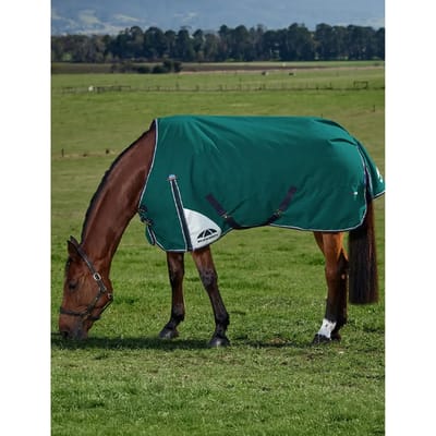 Outdoor paardendeken Weatherbeeta Comfitec Plus Dynamic 100g