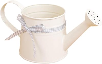 Kleine gieter - Decoratieve sproeier - Planten water geven - Met handvat - 1 liter - Wit