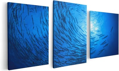 Artaza Canvas Schilderij Drieluik Zwerm Vissen in de Oceaan - 120x60 - Foto Op Canvas - Canvas Print