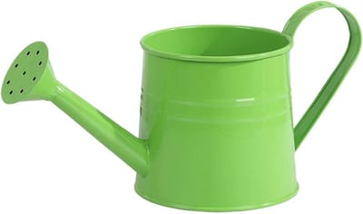 Gieter met Lange Tuit - Waterkan Planten - Planten Water Geven - Ijzeren Constructie - 1 Liter - Groen