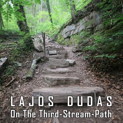 On the Third-stream Path