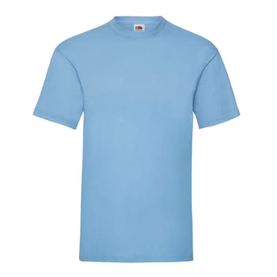 Fruit of the Loom Unisex Adult Waardevol T-Shirt (Hemelsblauw)