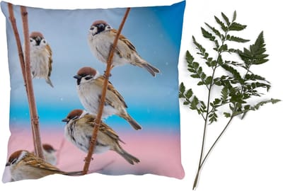 Sierkussens - Kussentjes Woonkamer - 40x40 cm - Vogels - Mus - Dieren - Takken