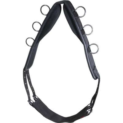 Nylon longe band voor paard Karlslund