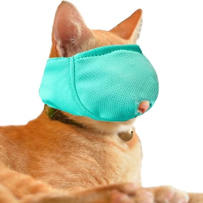 Katten Muilkorf - Beschermend Masker - Veilig Verzorgen - Ademend Mesh Ontwerp - Maat S - Groen
