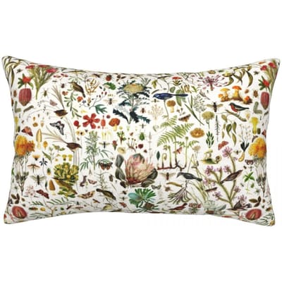 Housse de coussin rectangulaire Biology Australia Décoration Chambre à coucher Lit Maison Confort Coussin d'appoint 50x35cm