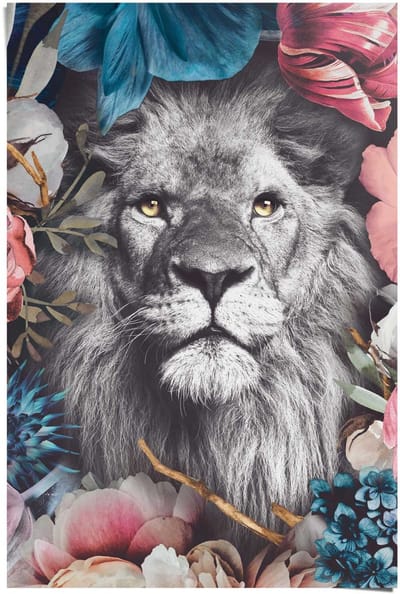 Poster Leeuw - 91,5 x 61 - Papier - REINDERS