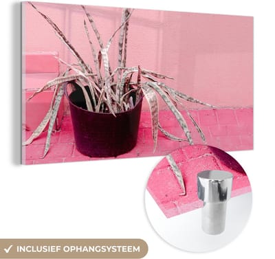 MuchoWow® Glasschilderij 40x20 cm - Schilderij acrylglas - Zomer - Roze - Planten - Foto op glas - Schilderijen