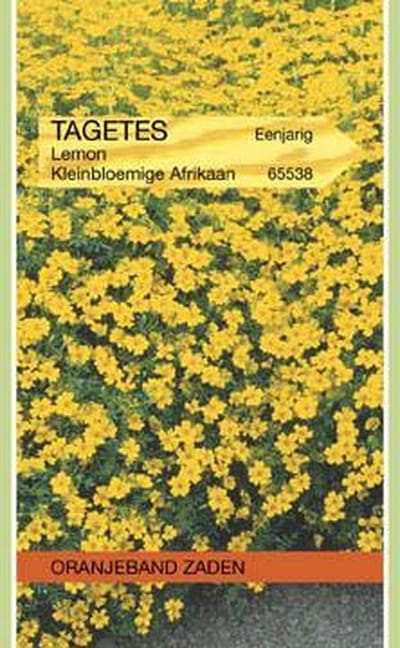 Oranjebandzaden -  Tagetes, Afrikaan Lemon kleinbloemig, geel