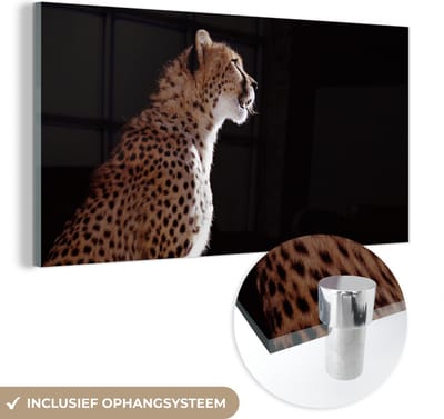 MuchoWow® Glasschilderij 40x20 cm - Schilderij acrylglas - Cheeta - Dieren - Licht - Foto op glas - Schilderijen