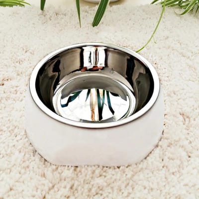 Gamelle pour chien en acier inoxydable antidérapante pour animaux de compagnie, gamelle pour eau potable et alimentation des chats, gamelle pour animaux de compagnie, accessoires pour animaux de compagnie, gamelle pour chien