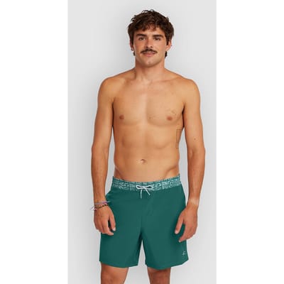 O'Neill Pocket Print 16" Boardshorts groen