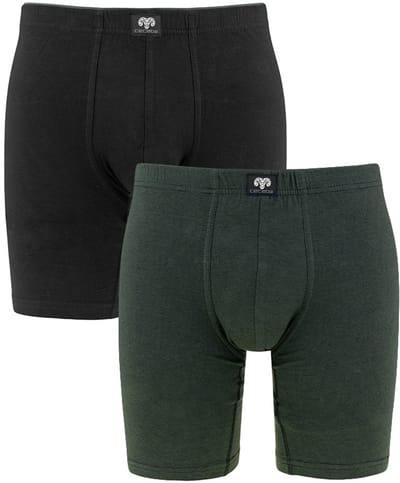 CECEBA Ohio - 2-pack Heren cyclist boxer - extra lange pijpen - Groen