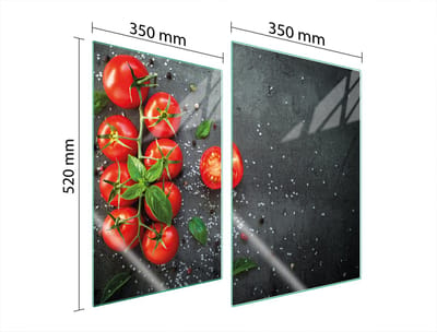 TMK ArtDeko - Serie 2x35 - Glazen Beschermplaat - 35x52 cm - Gehard Glas - Voor alle soorten fornuizen