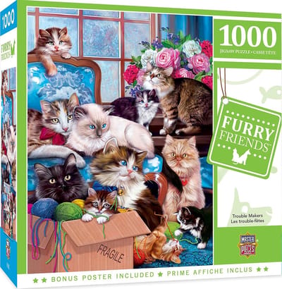 Puzzel 1000 Stukjes - Volwassen Puzzel - Ontspanning Thuis - Uniek Willekeurig Patroon - 49x68 cm - Probleemmakers