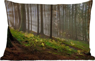 Buitenkussens - Tuin - Zon - Takken - Bomen - Bos - Natuur - 50x30 cm