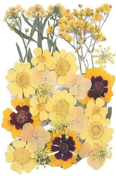 Gedroogde Persbloemen - Natuurlijke Echte Bloemen - Kleurrijke Gele bloemen voor Resin Sieraden en DIY Craft