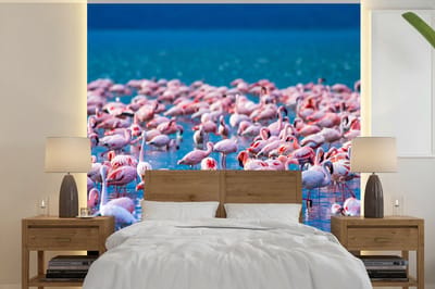 Behang - Fotobehang Flamingo - Water - Tropisch - Water - Roze - Breedte 300 cm x hoogte 300 cm
