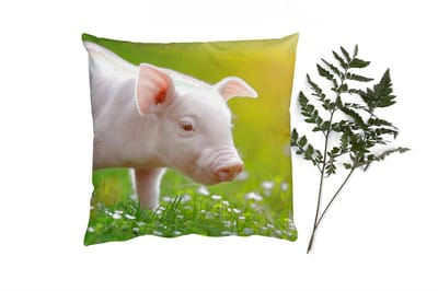 Sierkussens - Kussentjes Woonkamer - 45x45 cm - Dieren - Biggetje - Varken