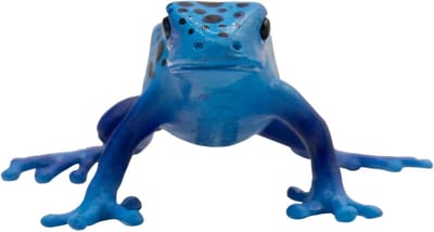 Bullyland 68523 – Speelfiguur Pijlgifkikker Azureus – ca. 3cm – levensecht en detailrijk vormgegeven – ideaal als educatief speelfiguur, decoratie of klein cadeautje voor kinderen vanaf 3 jaar.