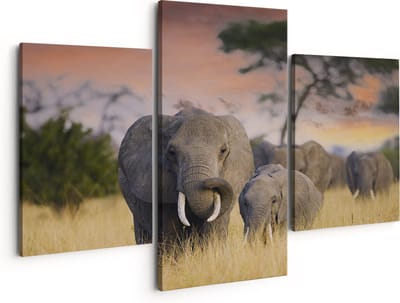 Artaza Canvas Schilderij Drieluik Groep Olifanten in het Wild - Kudde - 150x120 - Groot - Foto Op Canvas - Canvas Print