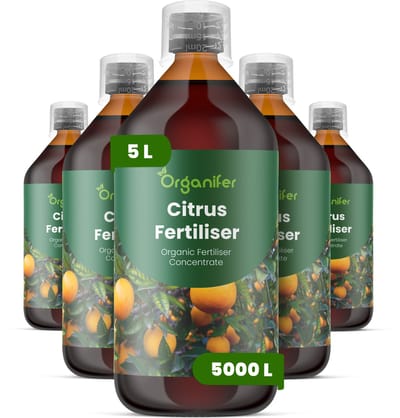 Vloeibare Meststof Voor Citrus 5X1 L Voor 5000 L - Npk 2-1-8 - Citrussoorten - Krachtige Groei - Bloei - Sterke Vruchtzetting - Sterke Wortels - Aromatische Vruchten - Hittebestendig - Bladkleur - Gezonde Kroon - Binnen-Citrus - Organifer