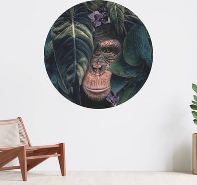 Muurcirkel zelfklevend behang - Jungle Chimpanzee - Wanddecoratie - 080cm behangcirkel - Ronde sticker voor aan de muur - Behangsticker verkrijgbaar in verschillende formaten