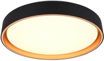 REALITY FELIS - Plafondlamp - Zwart-goud - incl. 1x SMD 24W - Dimbaar - Memory functie - Aanpasbaare lichtkleur