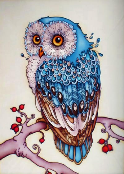 Diamond Painting Groot - Uil