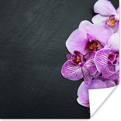 Poster Orchidee - Bloemen - Roze - Flora - 100x100 cm XXL