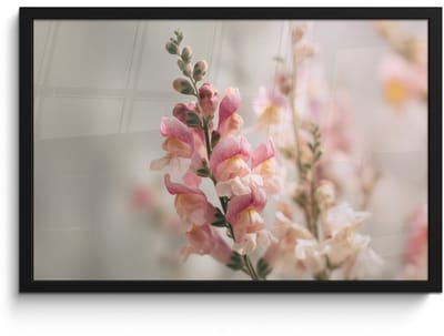 Poster in lijst - Fotolijst 60x40 cm - Posters - Bloem - Leeuwenbek - Roze - Stengel - Posterlijst zwart - Decoratie - Wanddecoratie woonkamer - Muurdecoratie slaapkamer