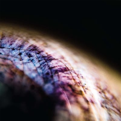 Skin - Emptyset