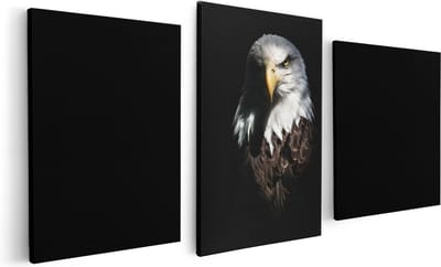 Artaza Canvas Schilderij Drieluik Adelaarkop - Adelaar - 120x60 - Foto Op Canvas - Canvas Print